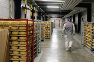 Rokiškio verslininkai: turime dvi problemas – emigraciją į užsienį ir emigraciją į Vilnių