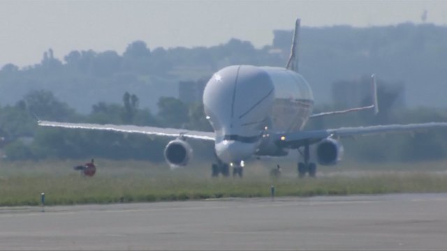 Aviacijos flagmanas „Airbus“ pristatė į banginį panašų lėktuvą