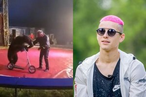 Donatą Montvydą papiktino elgesys cirke su gyvūnais: „Mane tai šokiravo“