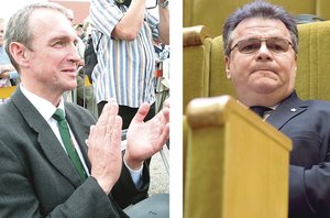 Abejonių dėl S. Skvernelio kandidatūros į prezidentus daugėja: valstiečių akys krypsta kitur