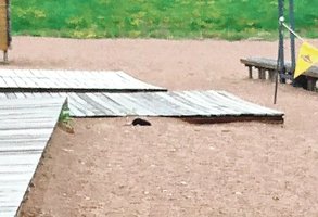 Vasaros malonumai prie karjero apkarto: perspėjo dėl puolančių žiurkių