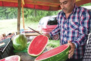 Arbūzų kaina pakelėje verčia aikčioti: pasakė, iš kurios šalies atvežti – skaniausi