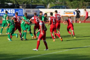 Draugiškose rungtynėse - Luko Spalvio įvartis į Dresdeno ekipos vartus