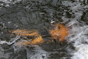 Biržų rajone po išgertuvių nuskendo jaunuolis