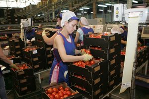 Emigrantų gundytojai: kas padoriai moka, tam darbininkų netrūksta