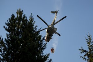 Latvija prašys tarptautinės pagalbos gesinti miško gaisrui šalies vakaruose