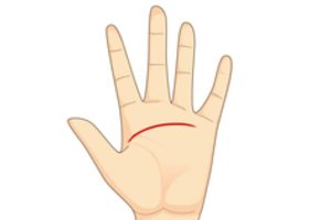 Jūsų širdies linija liečia gyvenimo liniją? Turime blogą žinią