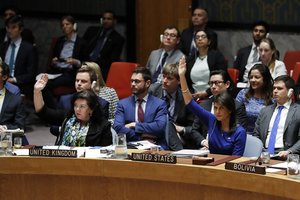 Ambasadorė: JAV nepasitiki ir niekada nepasitikės Rusija