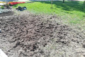 Įžūliai nuniokojo Marijampolės parką: kaltininkai nustatyti, bet liks nenubausti