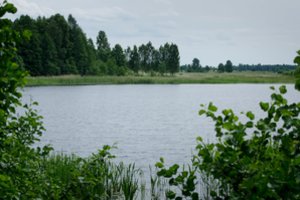  Prieiti prie vandens kiekvienas turi teisę, bet reikia nepamiršti ir pareigų