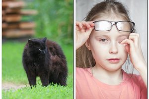 Katino apdraskyto vaiko tėtį pribloškė tai, ką išgirdo Kauno klinikose