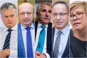 Tarp konservatorių skyrių keliamų kandidatų prezidento rinkimuose – G. Nausėda ir I. Šimonytė