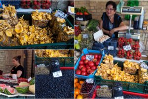 Sausros vėzdas ir turgui, ir verslui: miško gėrybės jų neišmaitina