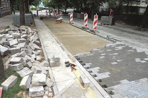 Miestiečius kamuoja mįslė: kas gyvena šioje gatvėje, kad ją skubiai remontuoja?