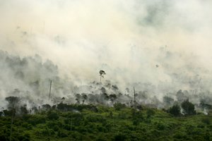Indonezijos kalnuose po žemės drebėjimo įstrigę daugiau kaip 500 žygeivių 
