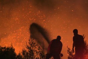 Graikijos premjeras apsilankė miškų gaisrų nusiaubtame regione