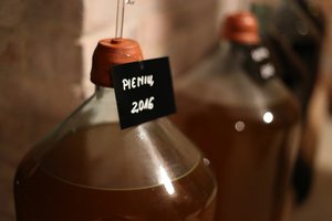 Vynuogių augintojai siekia, kad Lietuva patektų į šalių, gaminančių vyną, sąrašą