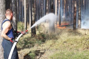 Gelbėtojai įspėja: gaisrai Europoje gali pažadinti seniai regėtą pavojų