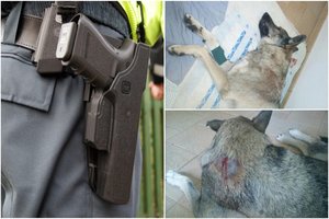 Sušaudytų šunų detektyvas Karveliškėse: prabilo ir liudytojas