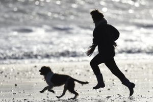 Šuo, įveikęs Australijos pusmaratonį, laimėjo medalį