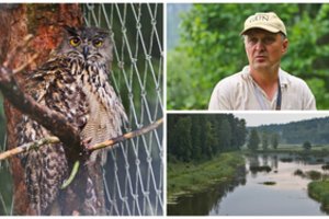 Lietuvos gamta praturtėjo dviem didžiaisiais apuokais