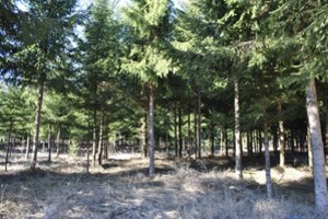 Jaunuolynams ugdyti – ES parama