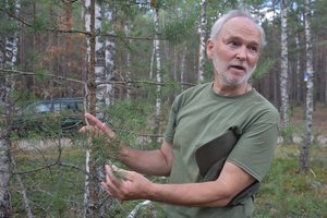 Ornitologo atradimas – paukščių lizde