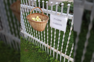 Kauniečių raštelis prie tvoros ištirpdė tūkstančius: „To niekur nemačiau“