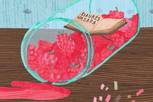 Vėl kviečia „Šiaurės vasara“ (programa)