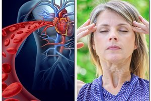 Neurologas išvardijo pagrindinius simptomus, rodančius kraujotakos sutrikimus