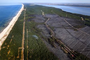 Didžiojo Smiltynės gaisro mįslė: įtarimų šešėlis krito ir ant girininko