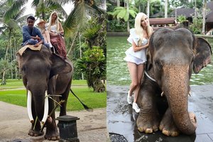 Prabanga garsėjanti Inga Stumbrienė kaltinama gyvūnų išnaudojimu