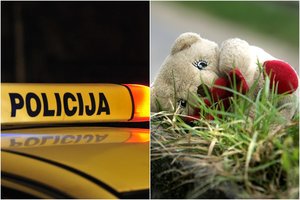 Vaikų košmaras stovykloje Klaipėdos r. – mažametes tvirkino į vidų įsiprašęs mergaitės tėvas