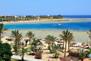 Egipte ryklys mirtinai sužalojo čekų turistą