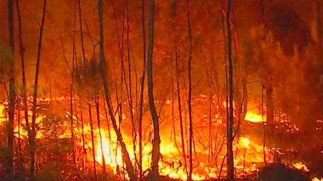 Šimtai Portugalijos ir Ispanijos ugniagesių kovoja su rekordinių karščių padariniais