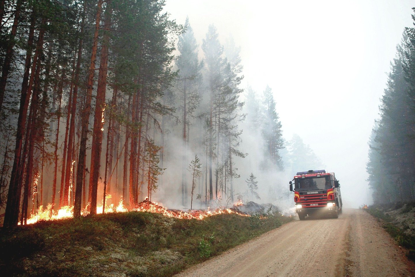 Vienas Europos Sąjungos pareigūnas pirmadienį pareiškė, kad šią vasarą Švedijoje kilę miškų gaisrai „dar kartą pabrėžė klimato kaitos poveikį“.