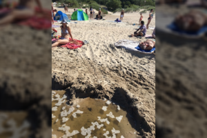 Išgirdę poilsiautojų priekaištus gelbėtojai negalėjo patikėti – atsikirto griežtai