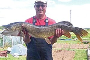 Milžinišką lydeką pagavęs rokiškėnas į valtį ją įsitempė neįprastu būdu