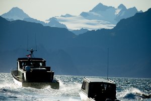Aliaskoje sudužus lėktuvui žuvo keli lenkų turistai 