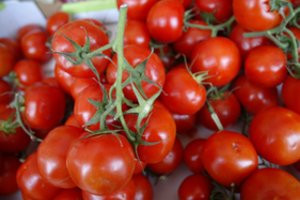 Sodininkas rado receptą, dėl kurio sulaukė rekordinio pomidorų derliaus