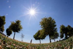 Alinantys karščiai Europoje – signalas žmonijai: laukia ilgalaikiai klimato pokyčiai