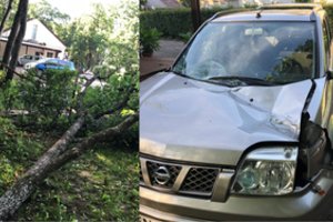 Vilniečiai skundžiasi niokojamu turtu – savivaldybės atsakymas nedžiugina