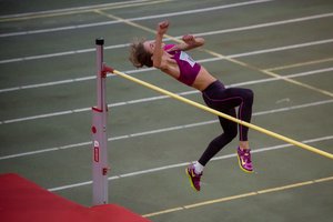 Lietuva pakilo Europos čempionatų medalių įskaitoje