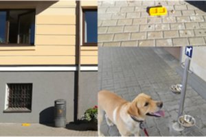 Dėmesio keturkojų šeimininkams: plinta idėja, kaip padėti per karščius