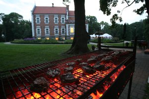 Kepsninėms, šašlykinėms ar griliams – tik tinkamas kuras