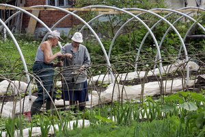 „Sodra“ pasakė, ką apie pensijų perskaičiavimą svarbu žinoti senjorams