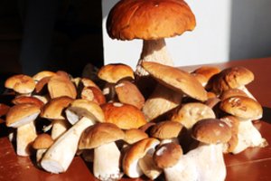 Vaistininkė patarė, ką daryti apsinuodijus grybais