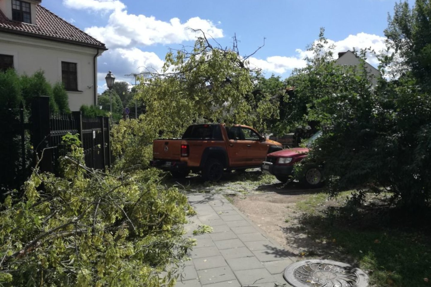  Prie sostinės Bernardinų sodų medis užvirto ant automobilio su vairuotoju.<br> Skaitytojo Tomo nuotr.
