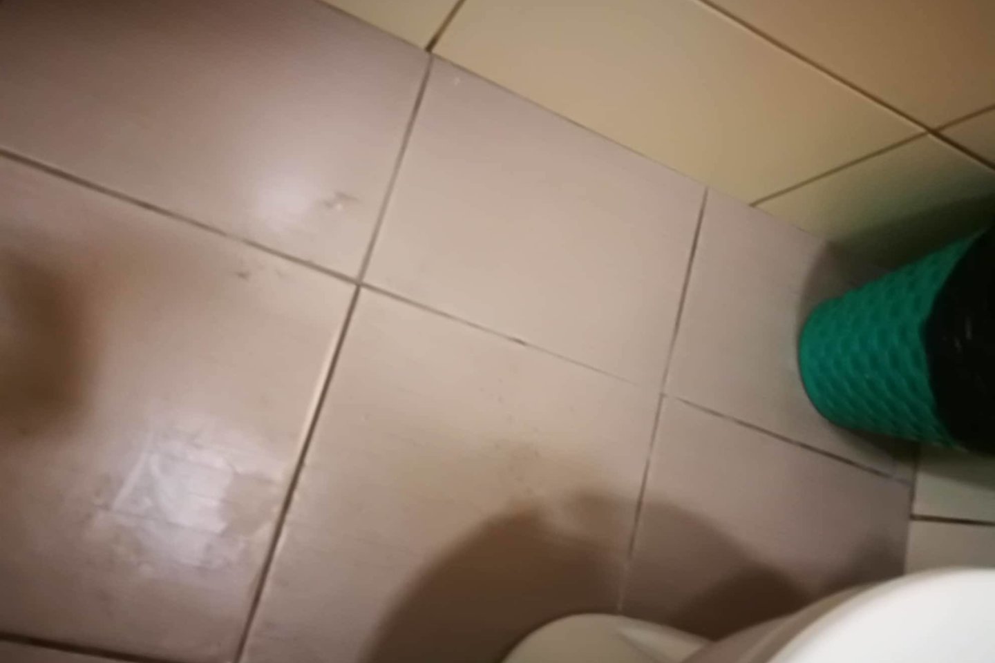  Prieš tualetą esanti patalpa su kriaukle buvo dar pakenčiamos būklės, bet paties tualeto grindys buvo nutaškytos balomis. Skysčio prigimtis tikriausiai niekam klausimų nekelia.<br> Aurelijos B. nuotr. 