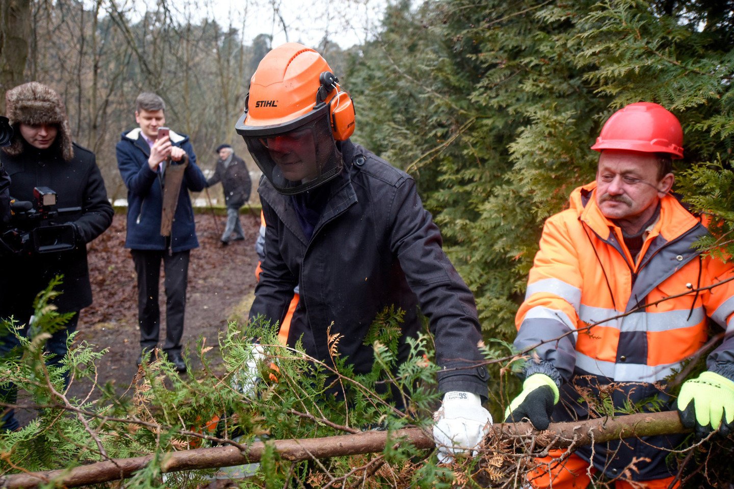 R.Šimašius pats pjovė tujas.